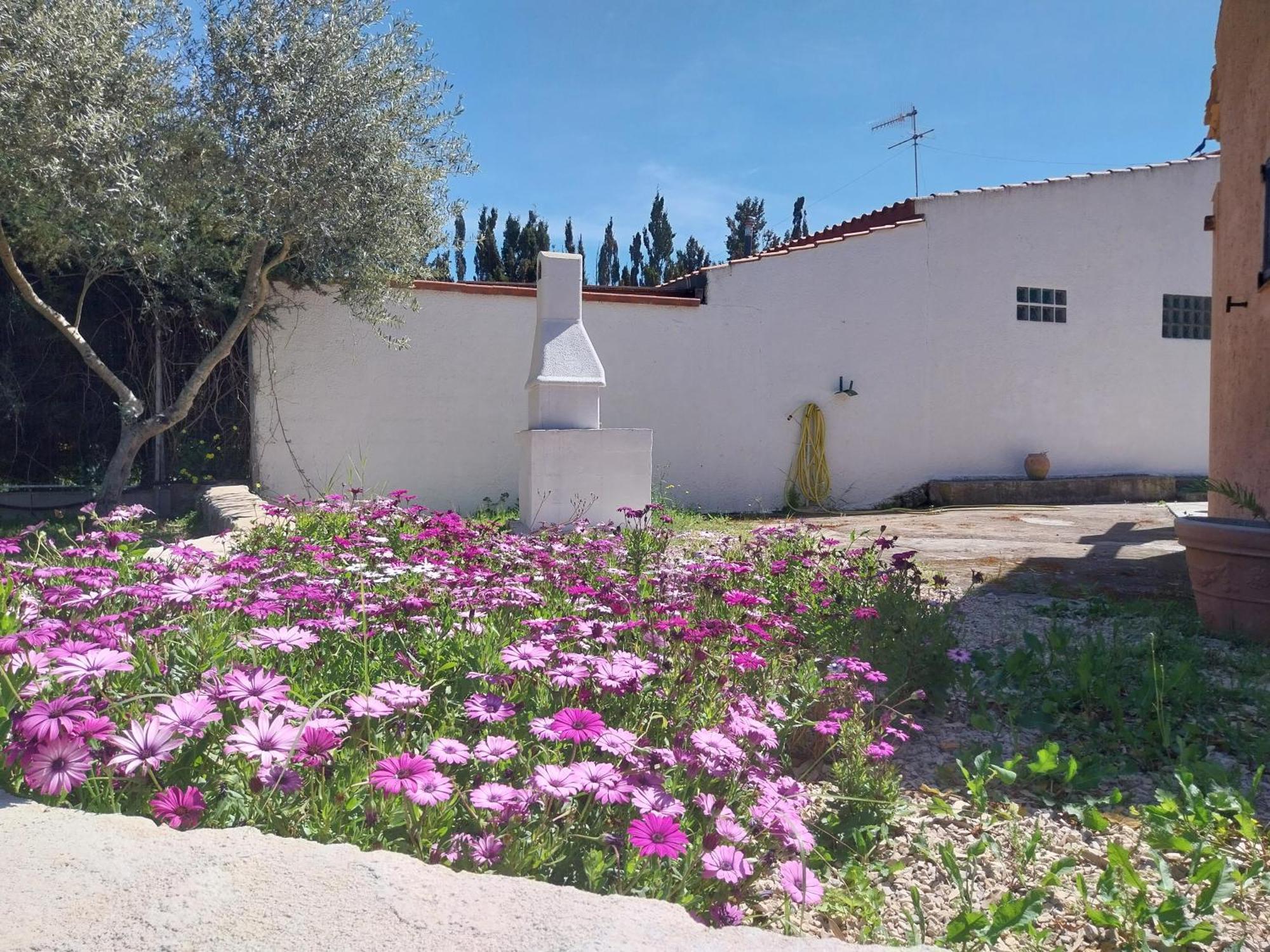 Casal Baratz Apartment Santa Maria la Palma Luaran gambar